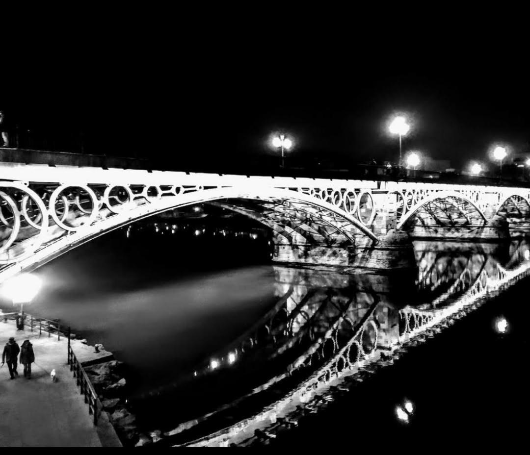 Luminoso Centrico Triana *